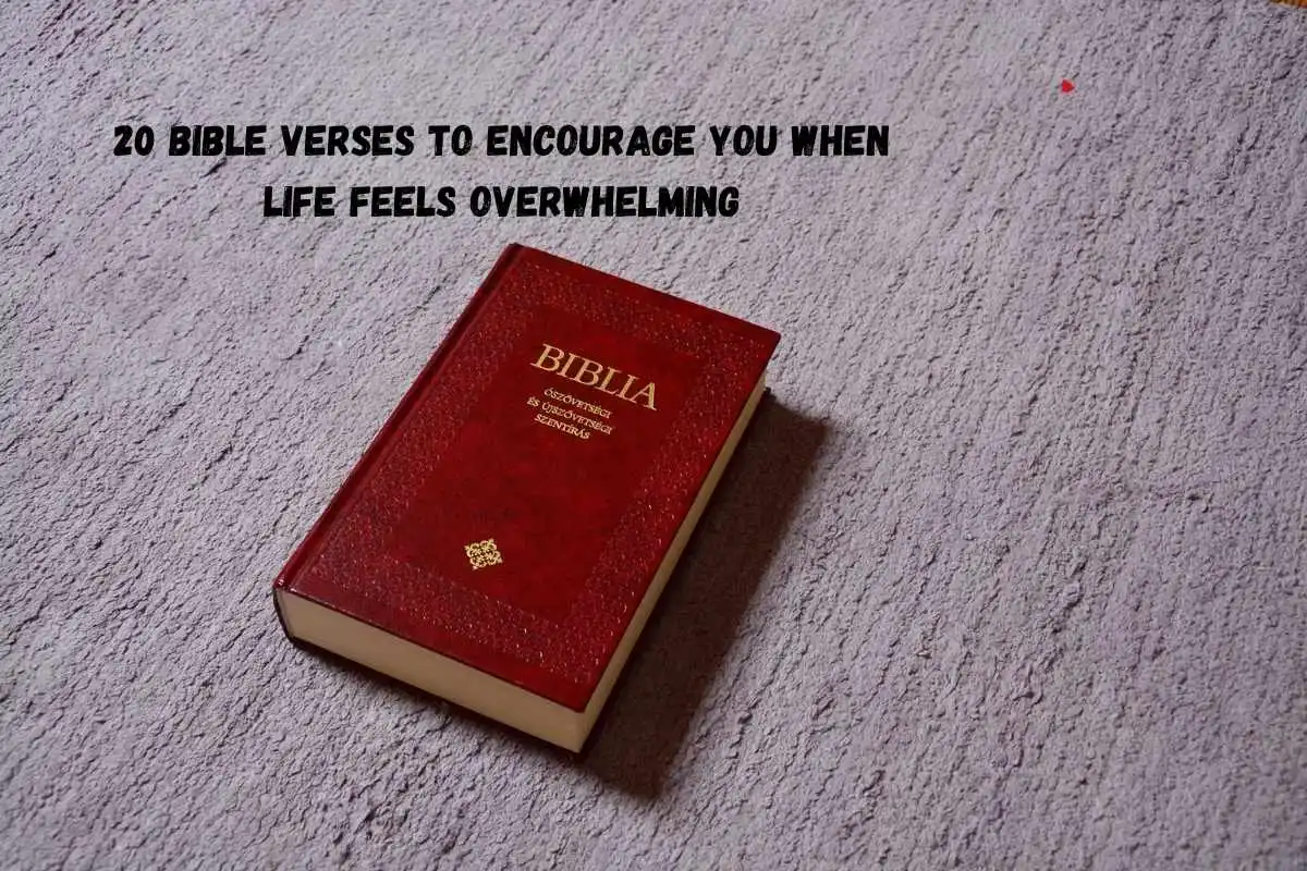 20 Bible Verses to Encourage You When Life Feels Overwhelming