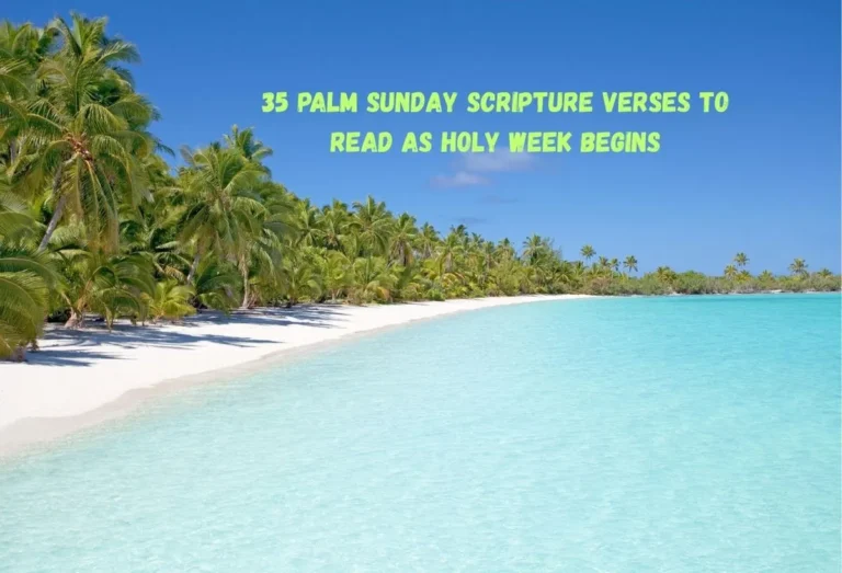 35 Palm Sunday Scripture Verses to Read as Holy Week Begins